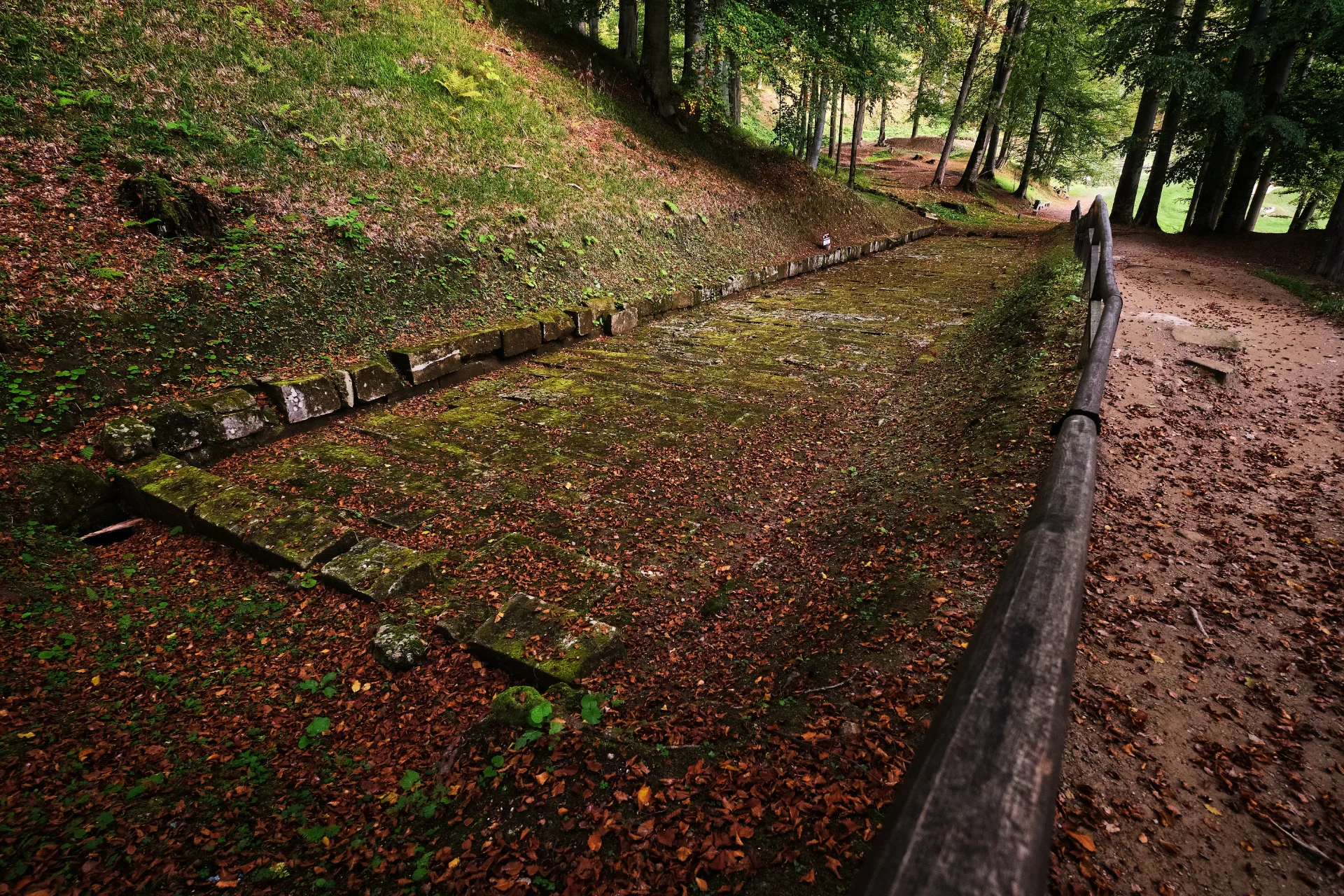Sarmizegetusa Regia - Parcul Natural Grădiștea Muncelului - Cioclovina 29