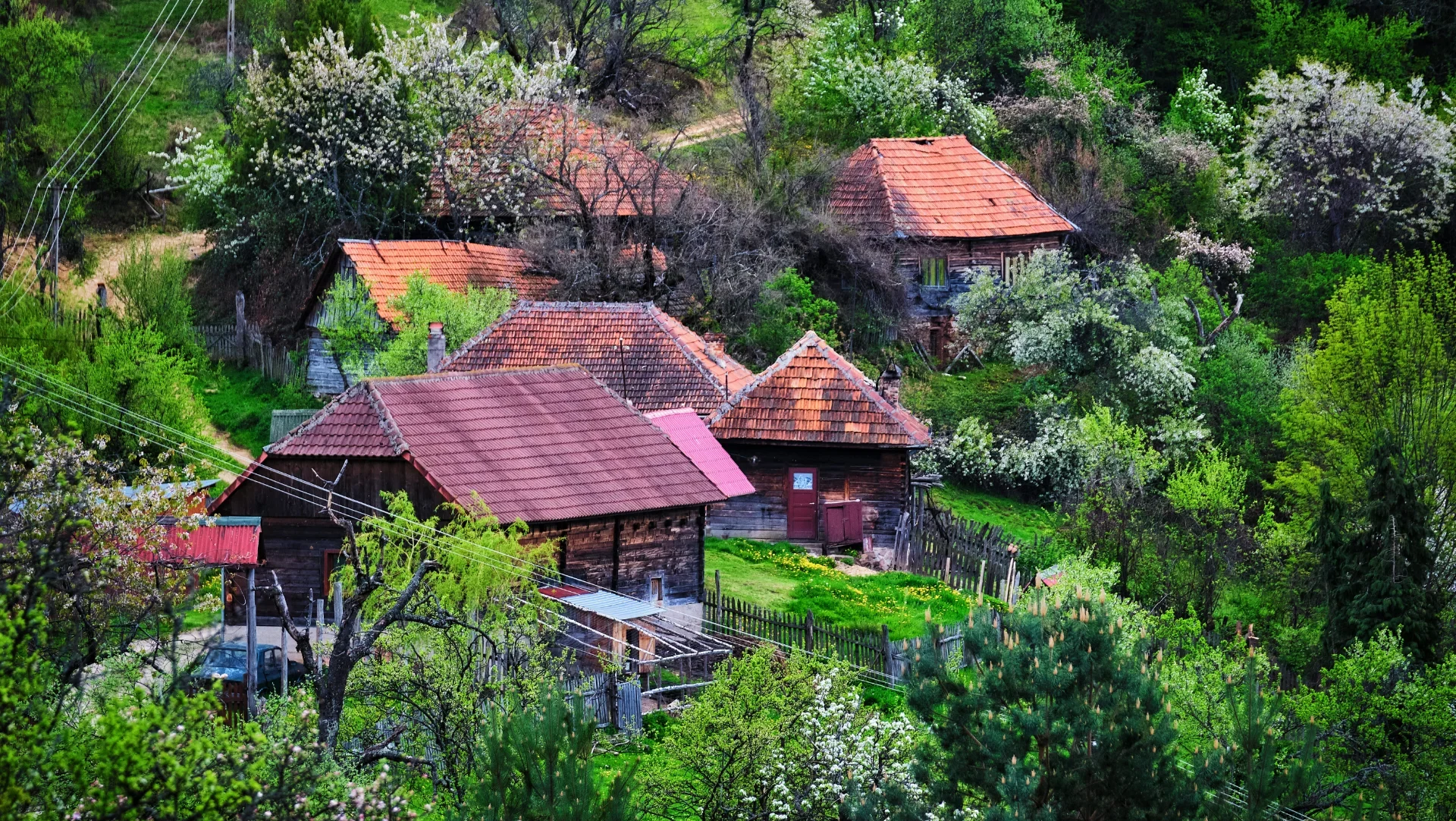Sat în Munții Orăștiei - Parcul Natural Grădiștea Muncelului - Cioclovina 20