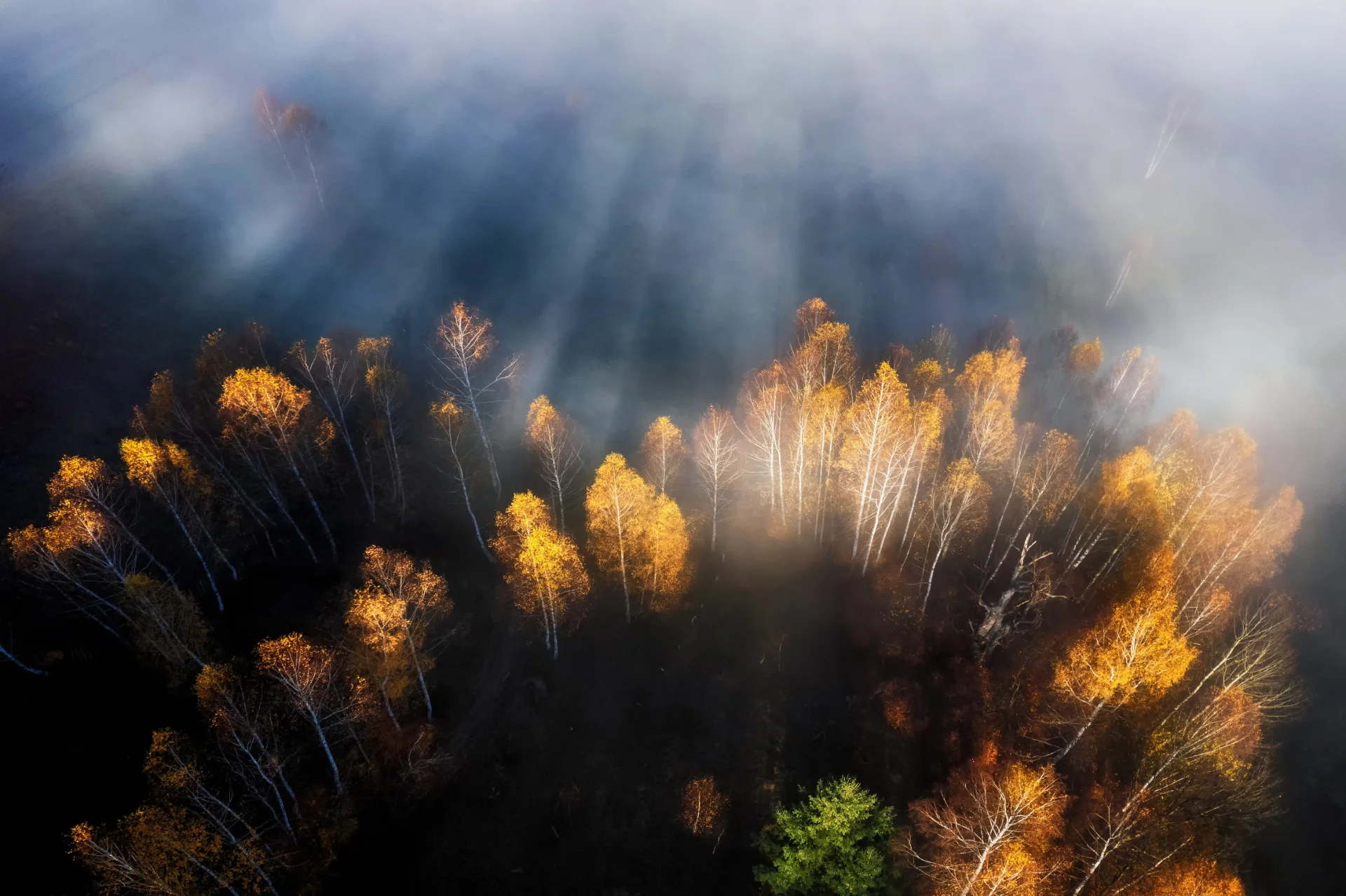 Satele Bănița și Merișor - Parcul Natural Grădiștea Muncelului - Cioclovina 59