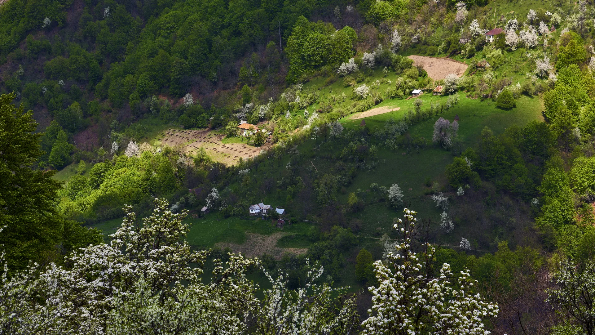 Satul Scărișoara - Parcul National Domogled - Valea Cernei - Destinatii Romania 004