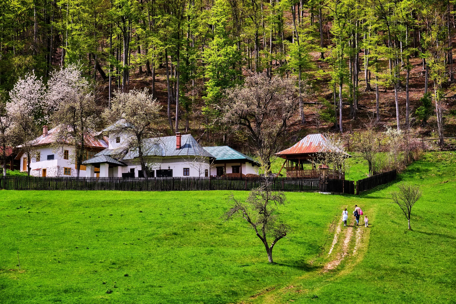Schitul Locurele - Parcul National Defileul Jiului - Destinatii Romania 83