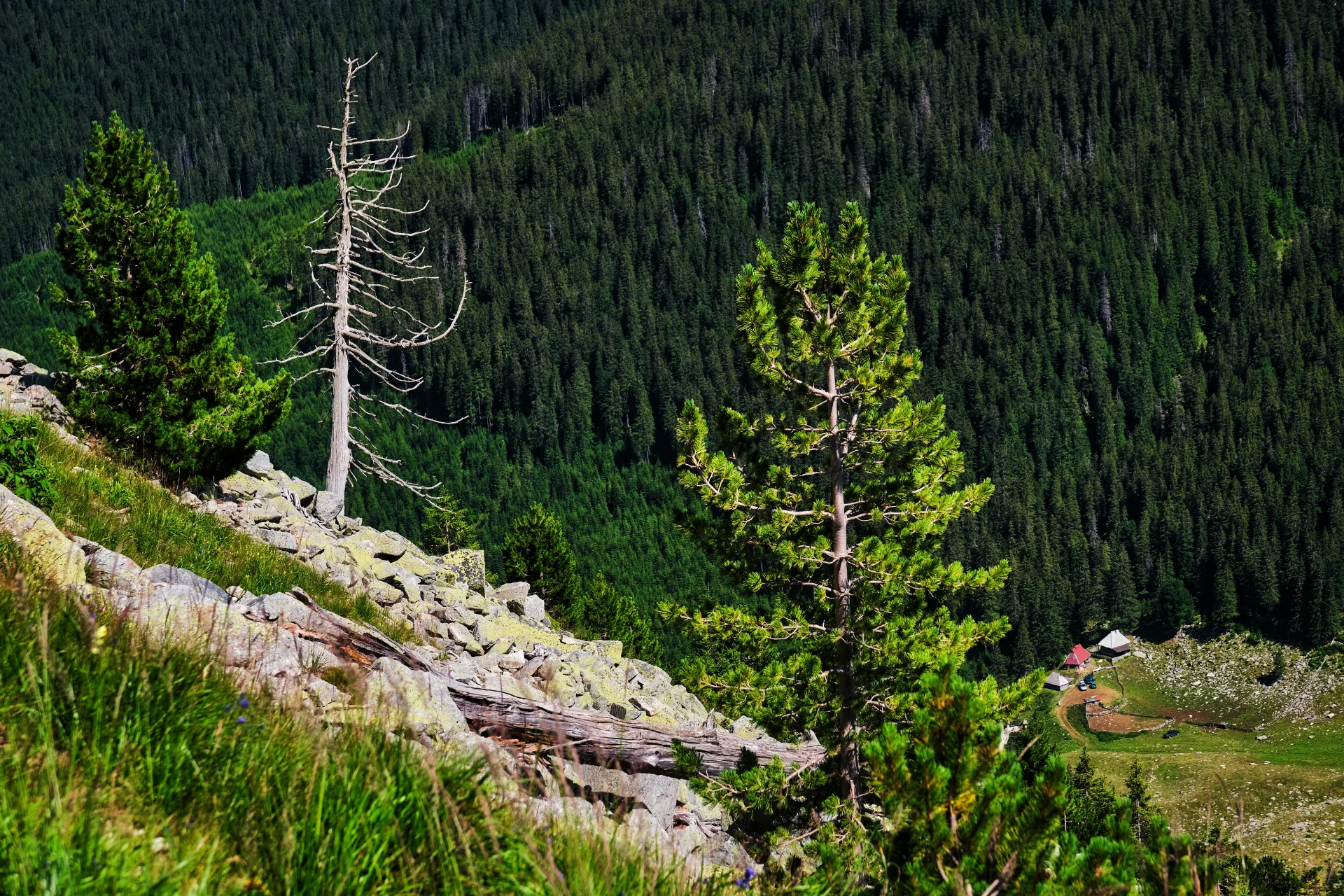 Stâna de Râu - Parcul National Retezat - Destinatii Romania 79