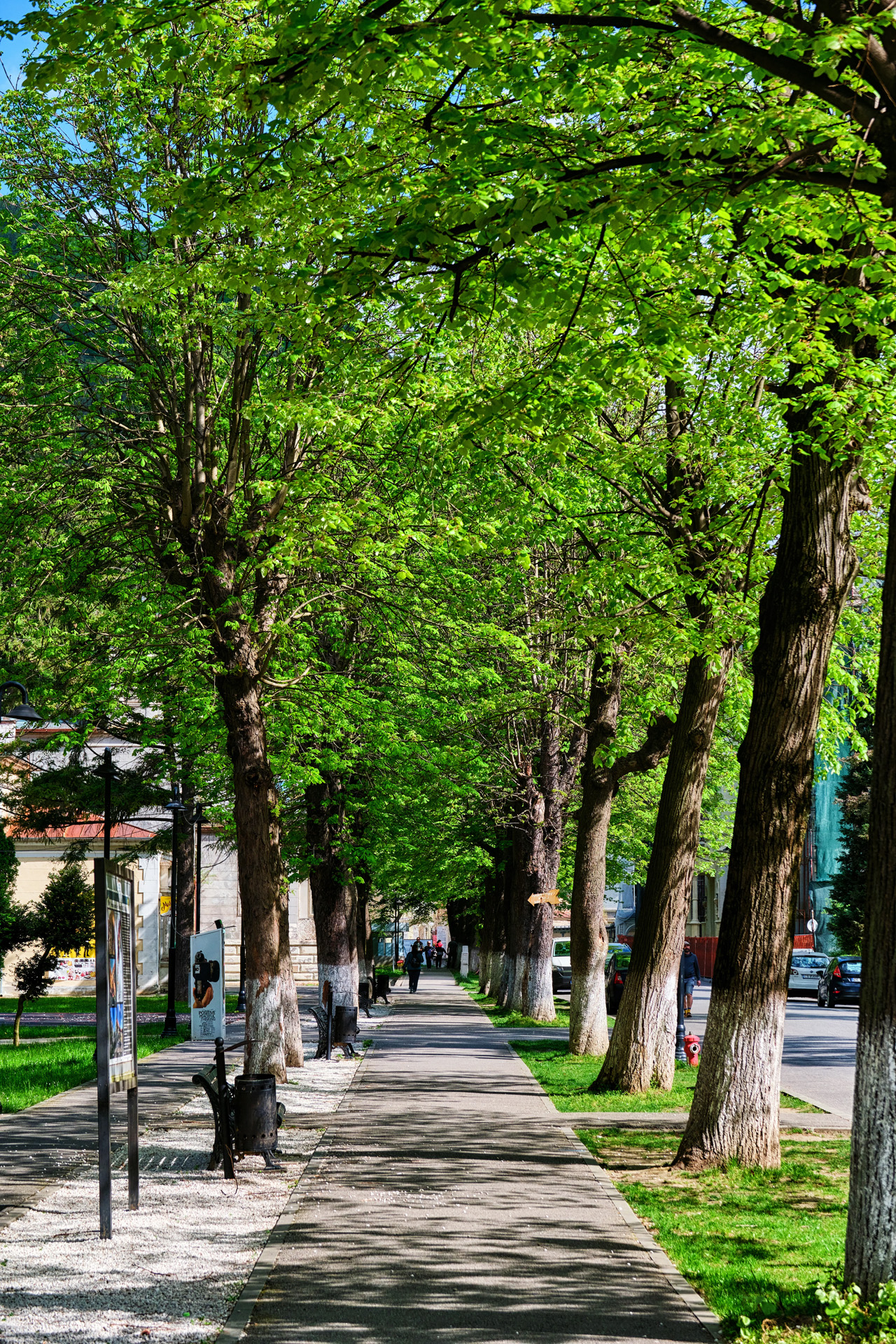 Statiunea Baile Herculane - Destinatii Romania 35