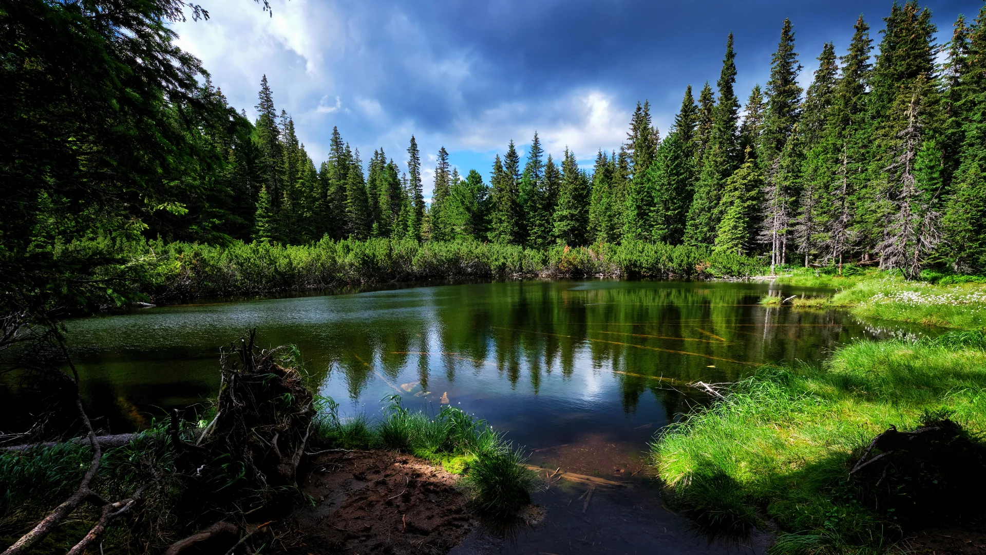 Tăul Dintre Brazi - Parcul National Retezat - Destinatii Romania 54