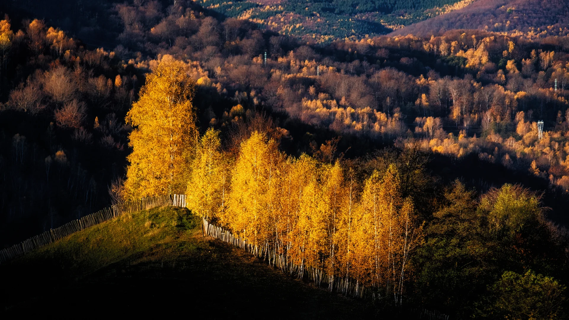 Toamna în Pasul Merișor - Parcul Natural Grădiștea Muncelului - Cioclovina 45