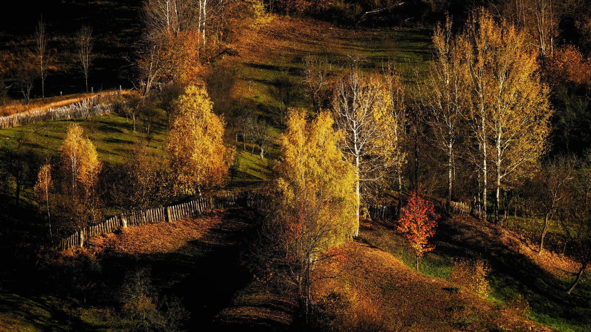 Toamna în Pasul Merișor - Parcul Natural Grădiștea Muncelului - Cioclovina 46