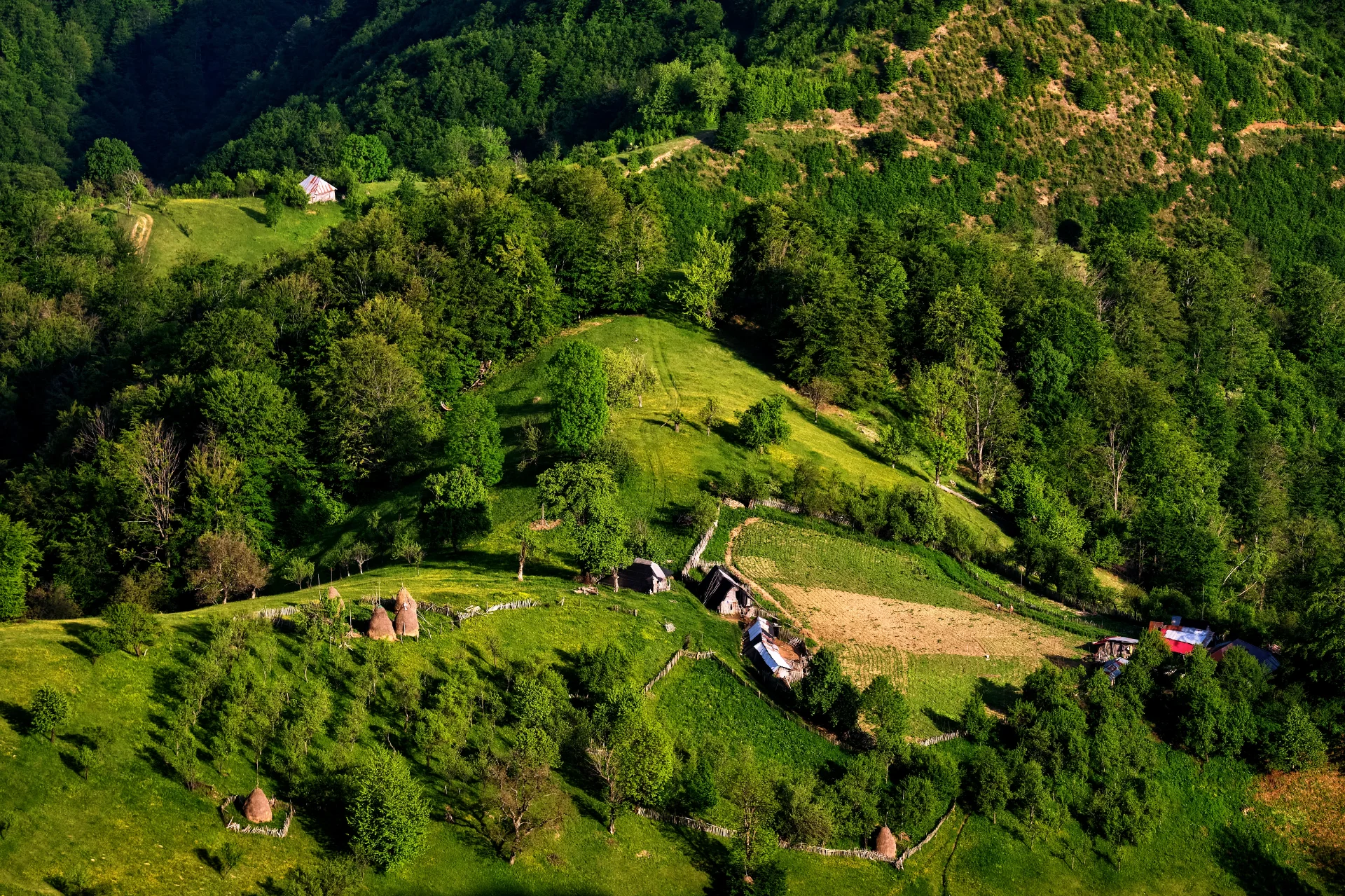 Traseu din Motru Sec - Parcul National Domogled - Valea Cernei - Destinatii Romania 042