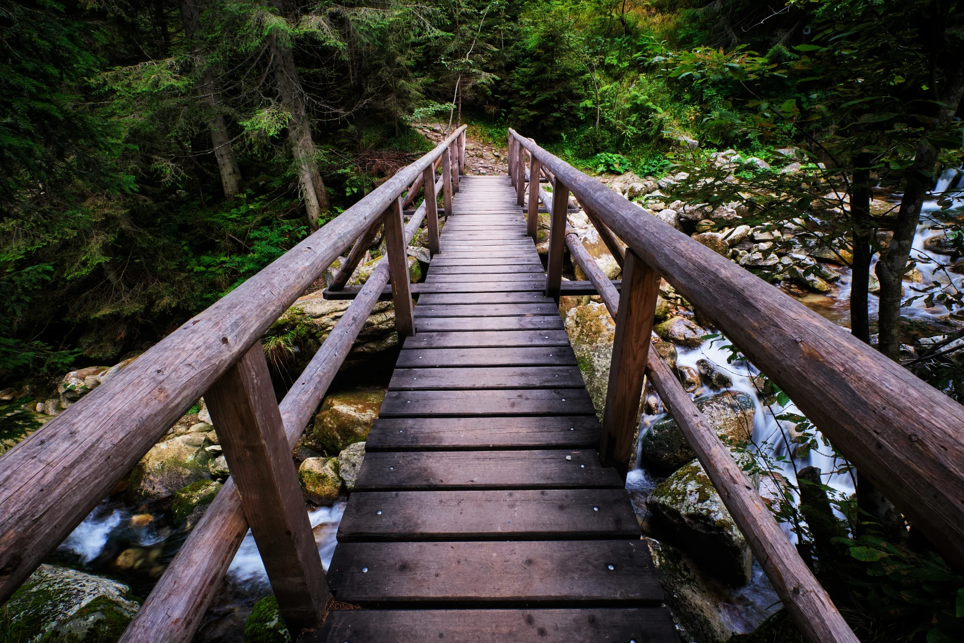 Traseu pe Valea Pietrele - Parcul National Retezat - Destinatii Romania 14