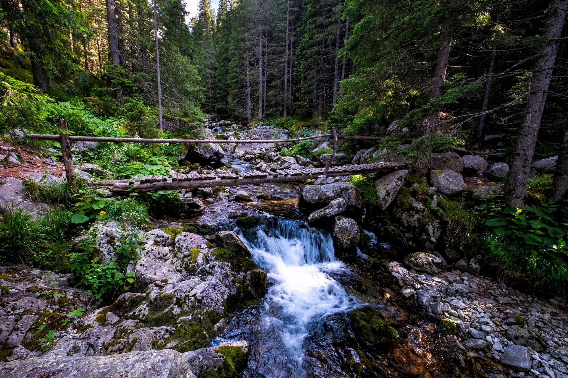 Traseu pe Valea Pietrele - Parcul National Retezat - Destinatii Romania 61