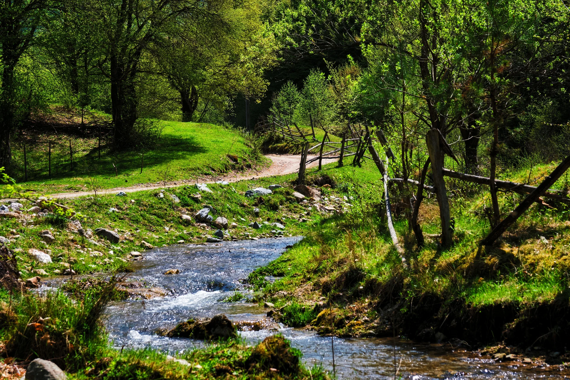 Valea Luncani - Parcul Natural Grădiștea Muncelului - Cioclovina 17