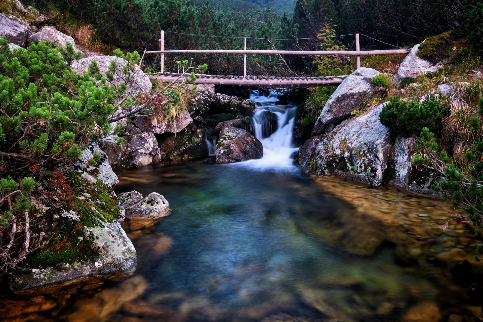 Valea Pietrele - Parcul National Retezat - Destinatii Romania 28
