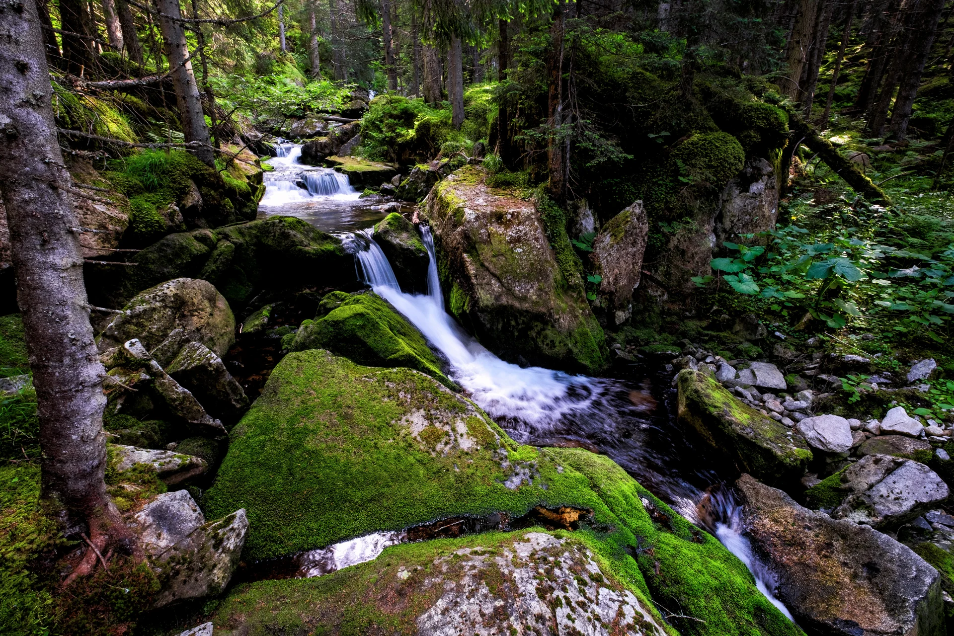 Valea Pietrele - Parcul National Retezat - Destinatii Romania 59