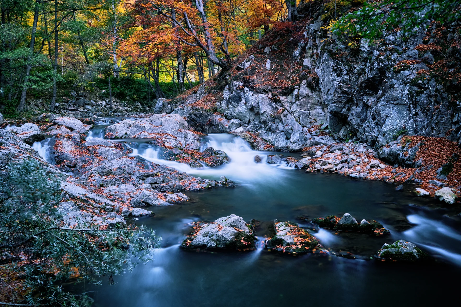 Valea Susenilor - Târgu Jiu Județul Gorj 094