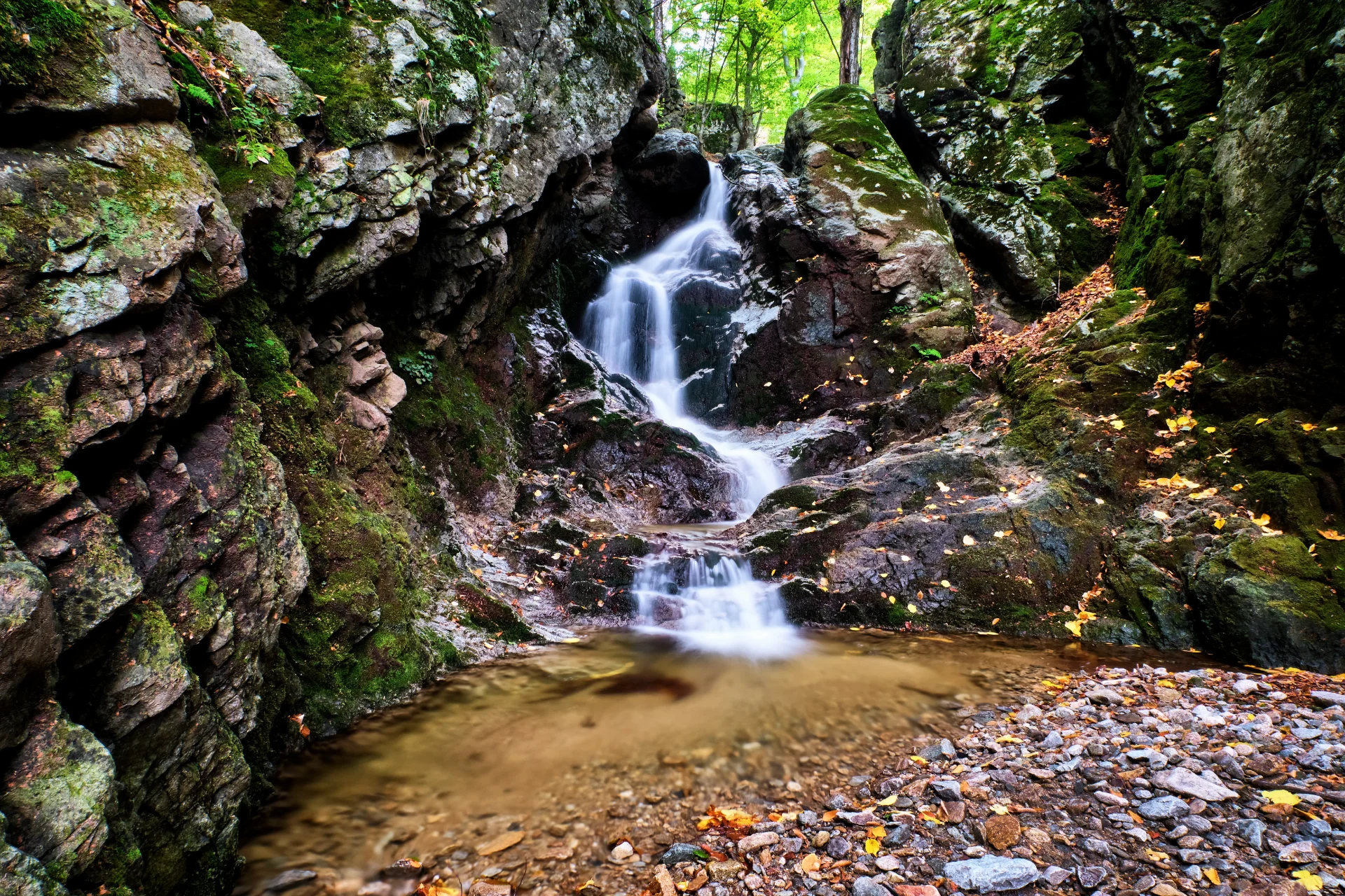 Valea Șușița Verde - Târgu Jiu Județul Gorj 052