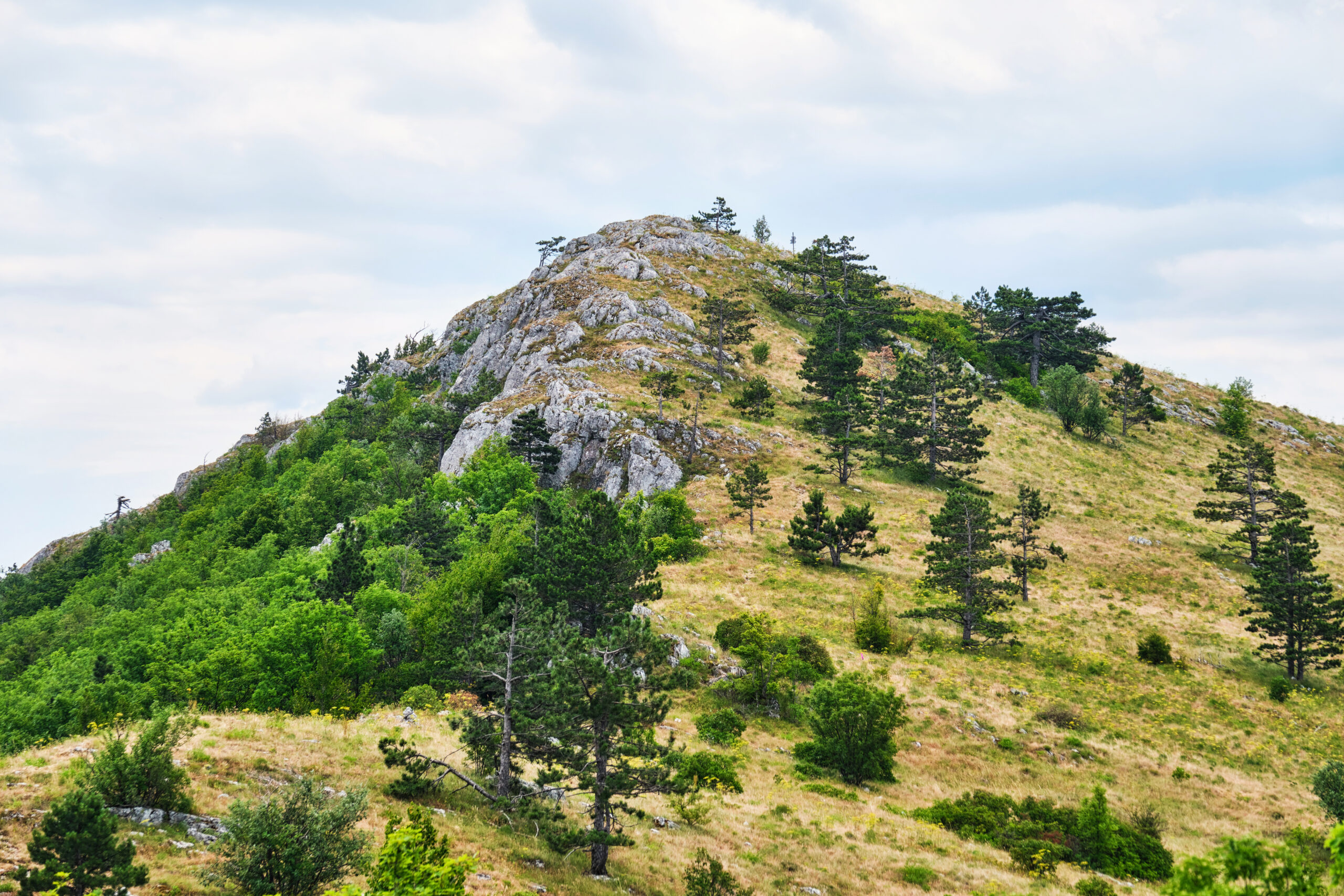 Vârful Domogledul Mare - Parcul National Domogled - Valea Cernei - Destinatii Romania 118