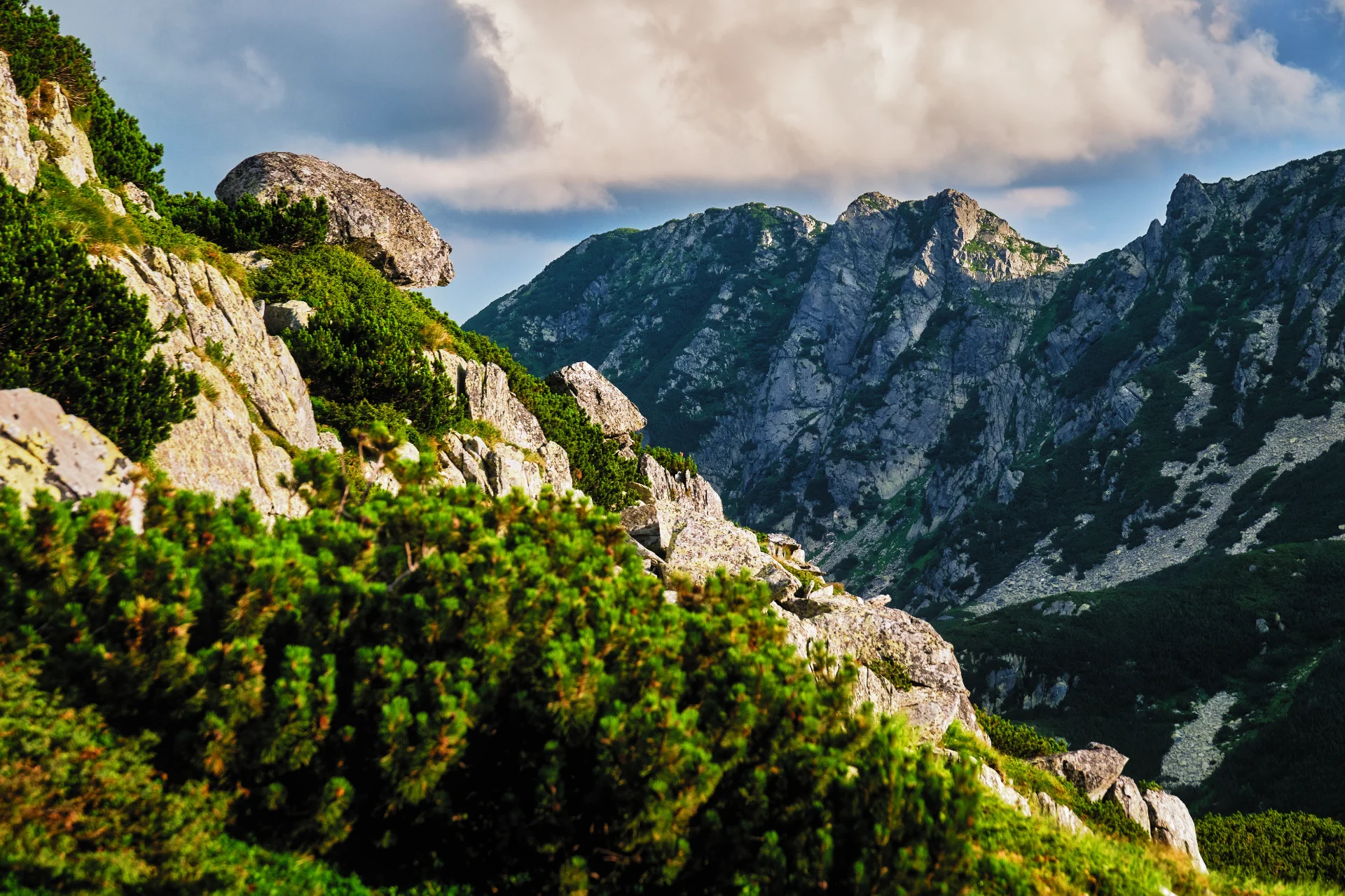 Vârful Slăveiu - Parcul National Retezat - Destinatii Romania 24