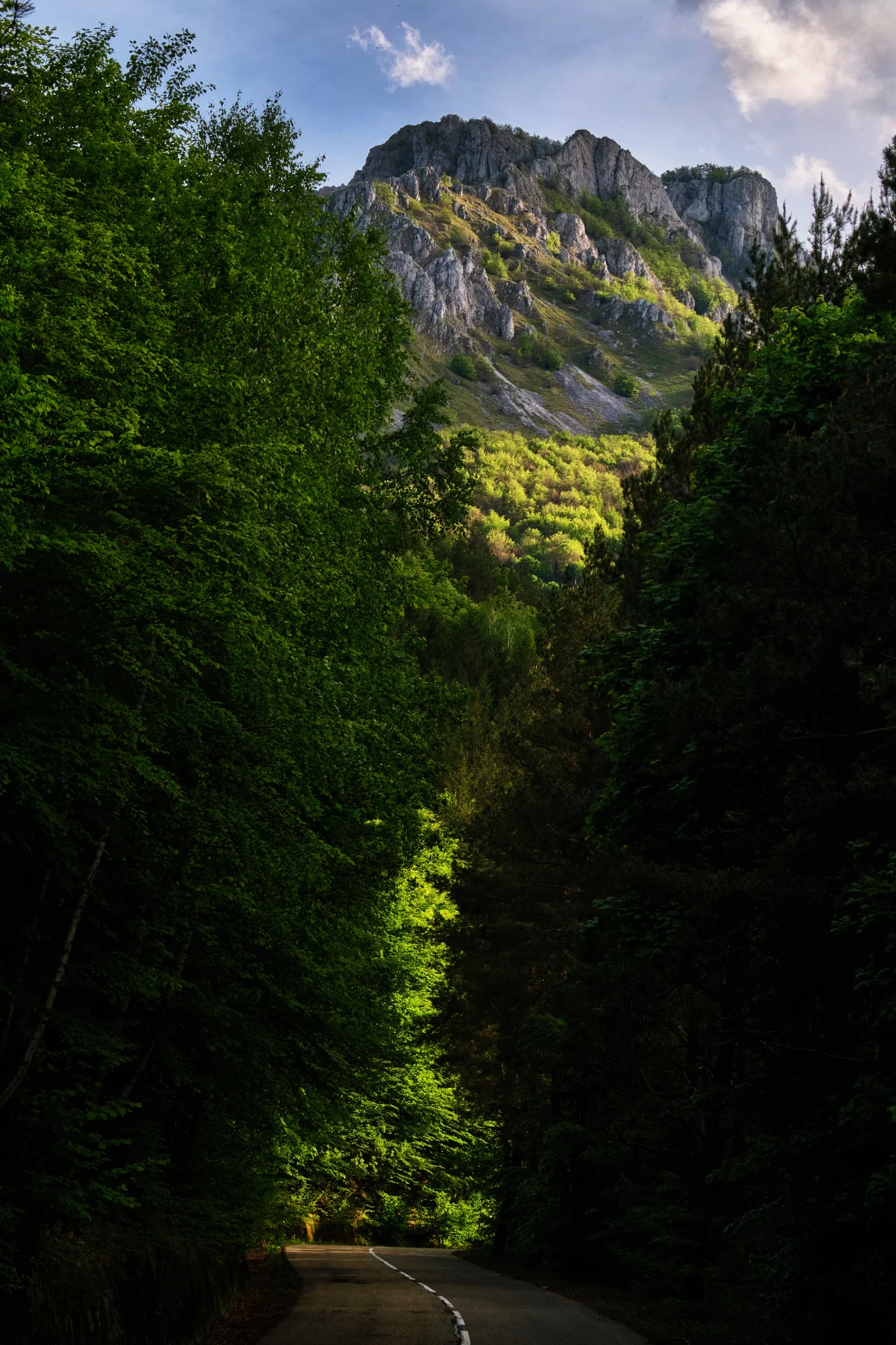 Vârful lui Stan - Parcul National Domogled - Valea Cernei - Destinatii Romania 102