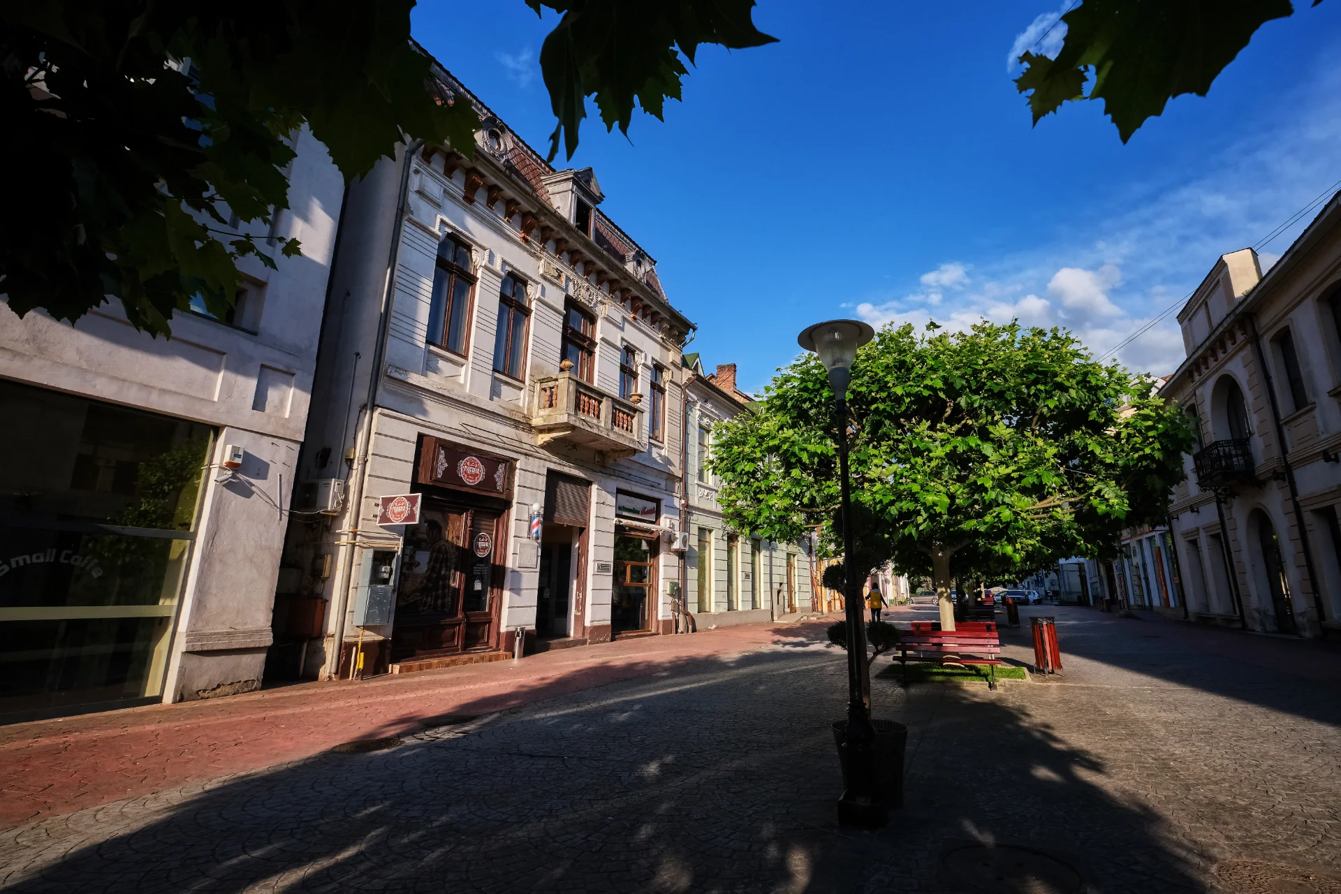 Strada Tudor Vladimirescu - Târgu Jiu Județul Gorj 026
